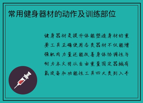 常用健身器材的动作及训练部位